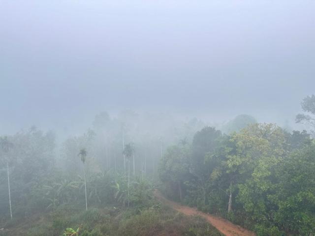 Wayanad Vista Service Apartment Bagian luar foto
